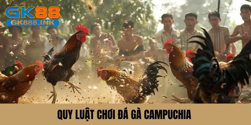 Quy luật chung đá gà tại Campuchia 